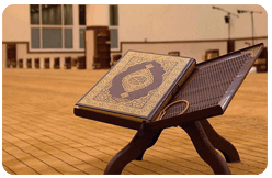 The Quran: Learn it, Don't Burn It